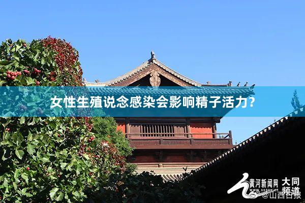 女性生殖说念感染会影响精子活力？