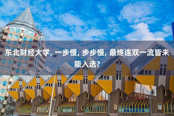 东北财经大学, 一步慢, 步步慢, 最终连双一流皆未能入选?