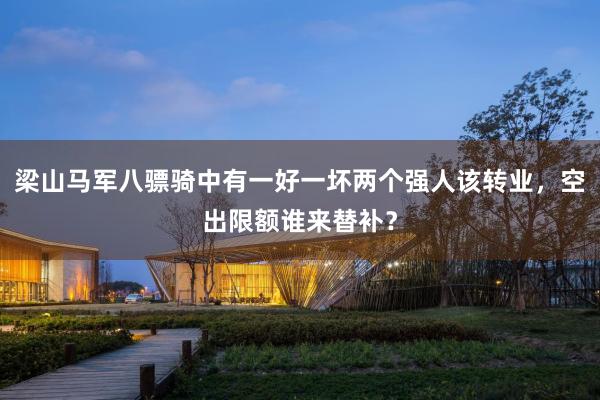 梁山马军八骠骑中有一好一坏两个强人该转业，空出限额谁来替补？