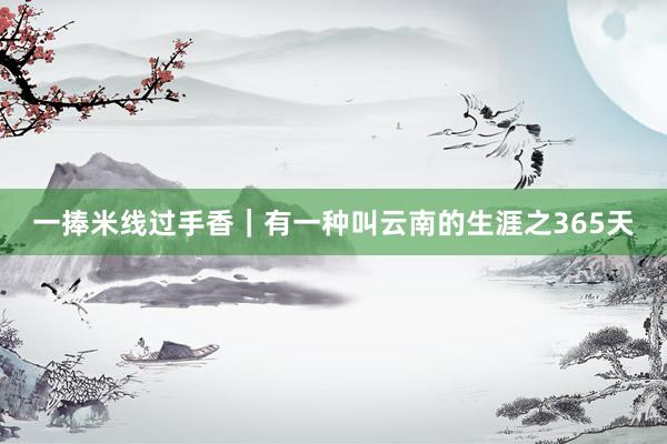 一捧米线过手香｜有一种叫云南的生涯之365天