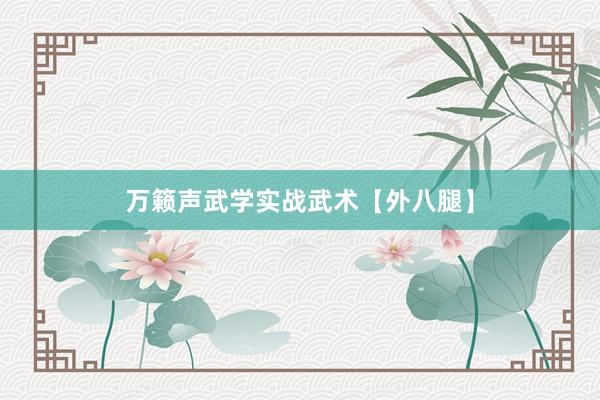 万籁声武学实战武术【外八腿】