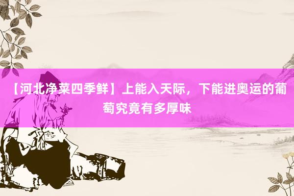 【河北净菜四季鲜】上能入天际，下能进奥运的葡萄究竟有多厚味