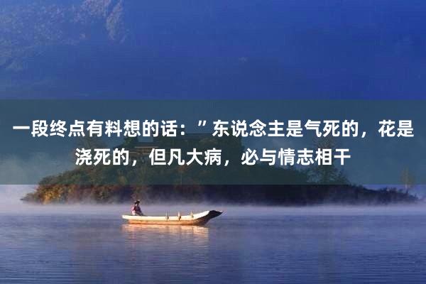 一段终点有料想的话：”东说念主是气死的，花是浇死的，但凡大病，必与情志相干