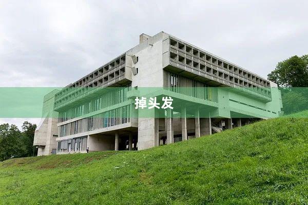 掉头发