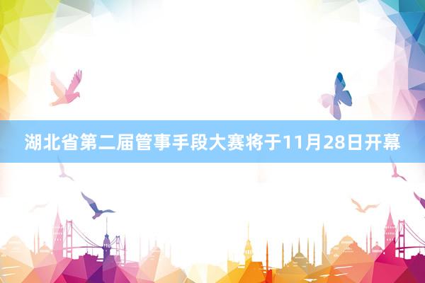 湖北省第二届管事手段大赛将于11月28日开幕
