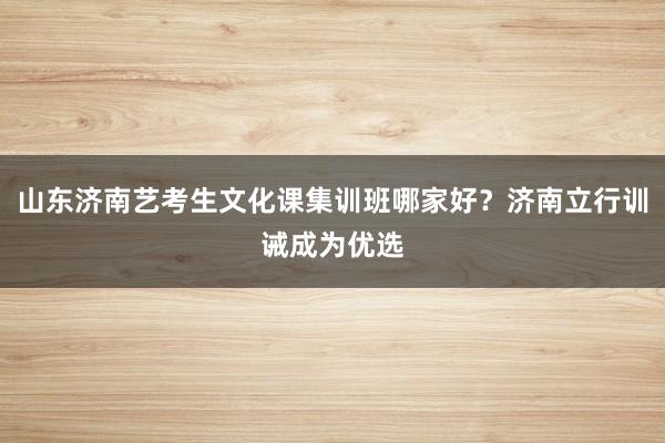 山东济南艺考生文化课集训班哪家好？济南立行训诫成为优选