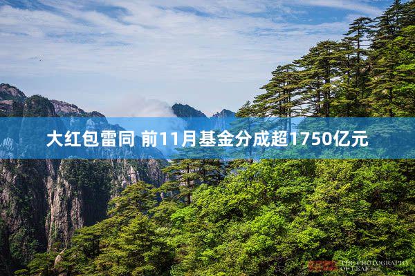 大红包雷同 前11月基金分成超1750亿元