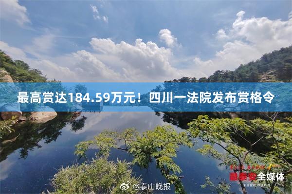最高赏达184.59万元！四川一法院发布赏格令