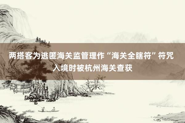 两搭客为逃匿海关监管理作“海关全瞎符”符咒 入境时被杭州海关查获
