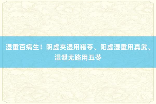 湿重百病生！阴虚夹湿用猪苓、阳虚湿重用真武、湿泄无路用五苓