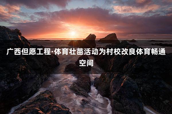 广西但愿工程·体育壮苗活动为村校改良体育畅通空间